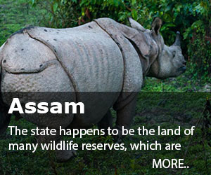 Assam