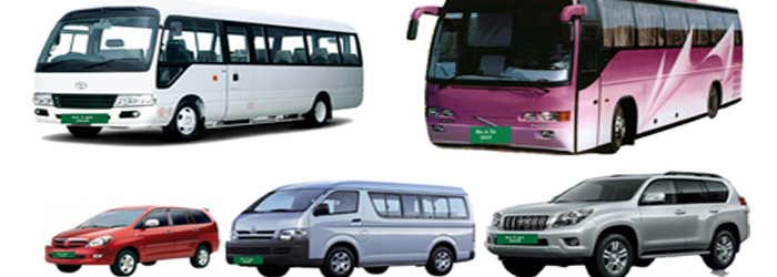 bus