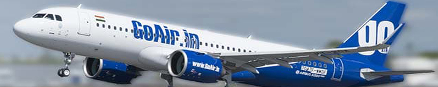 fli.jpg